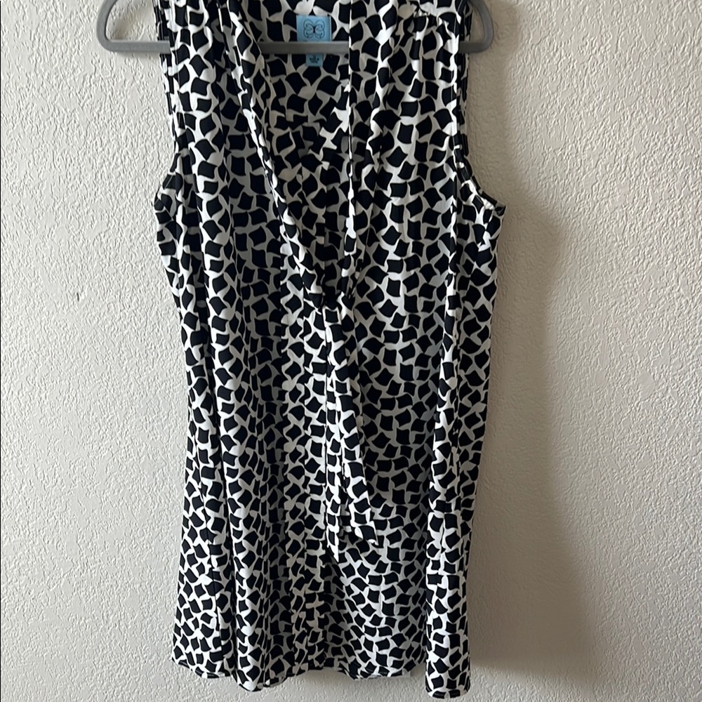 Sleeveless Black & White Geometric V-Neck Dress